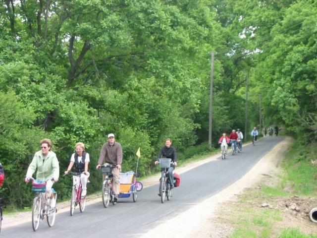 블랑켄하임 Nationalpark-Gastgeber Eifel 아파트 외부 사진